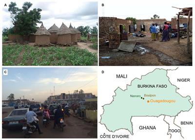 Diet, Environments, and Gut Microbiota. A Preliminary Investigation in Children Living in Rural and Urban Burkina Faso and Italy